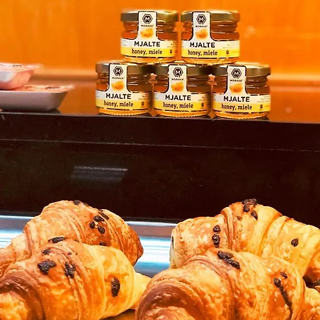 Mak Albania 티라나